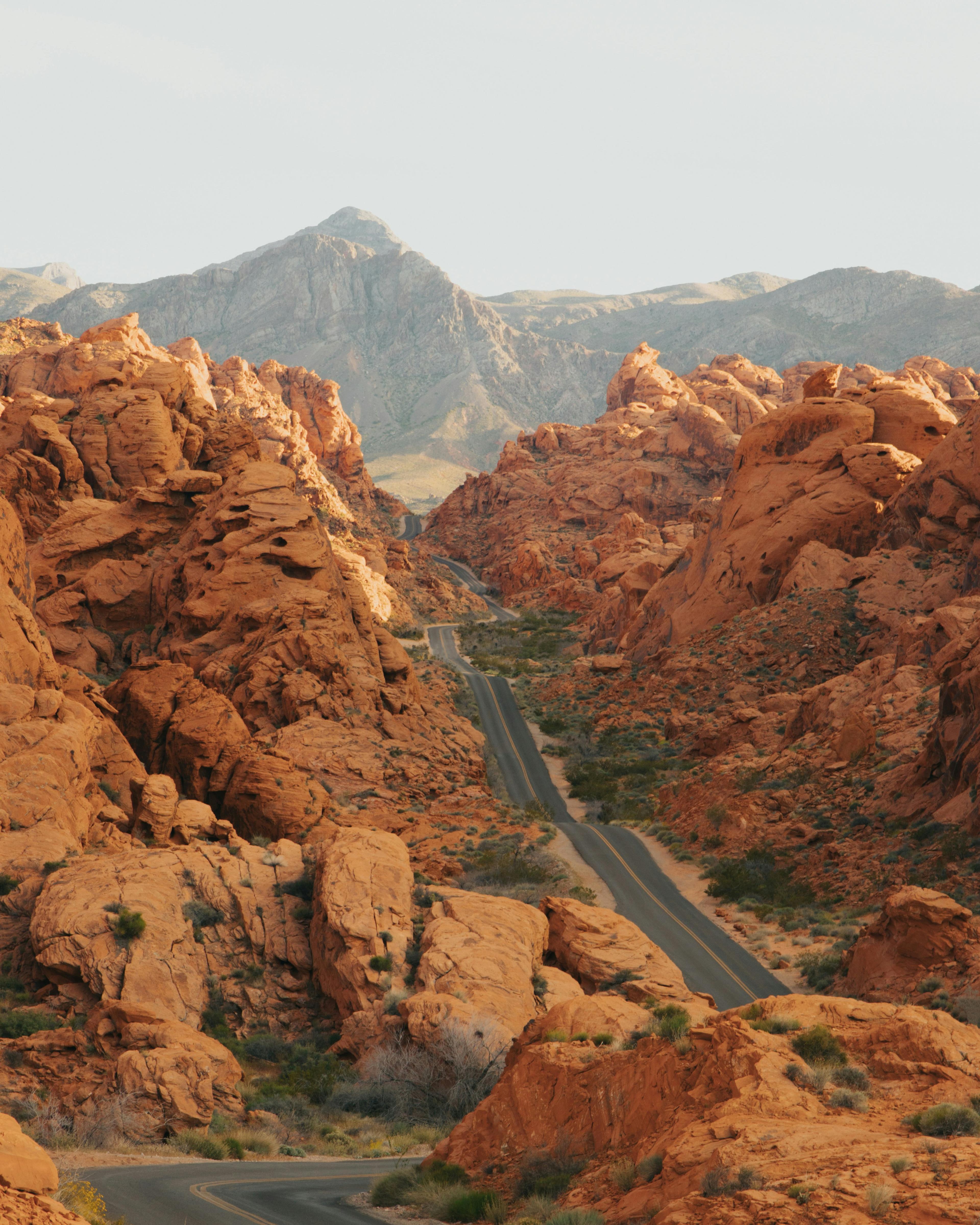 NEVADA